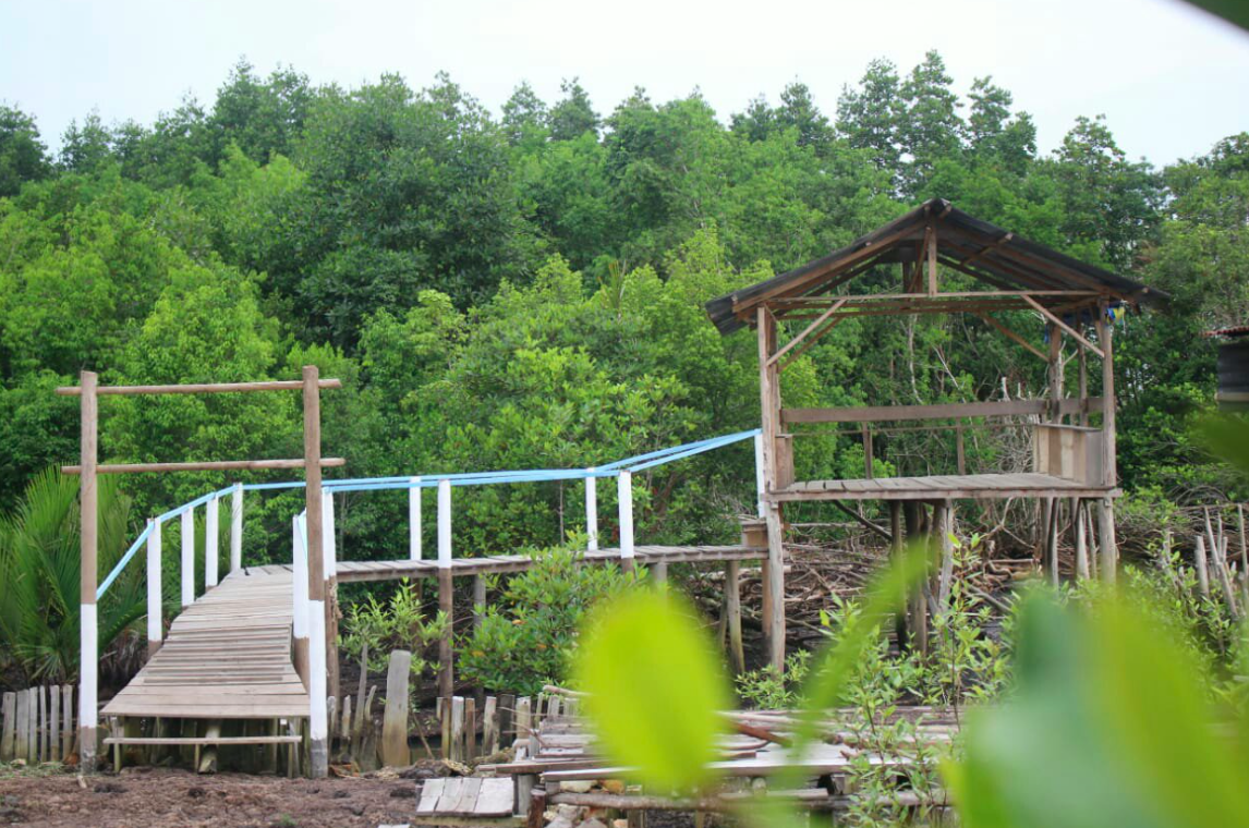 hutan-mangrove-sebauk-air-kulim